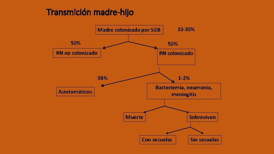 Transmición madre-hijo 10 -30% Madre colonizada por SGB 50% RN no colonizado RN colonizado