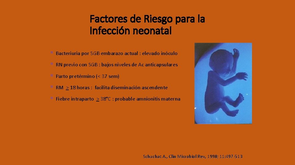 Factores de Riesgo para la Infección neonatal § Bacteriuria por SGB embarazo actual :