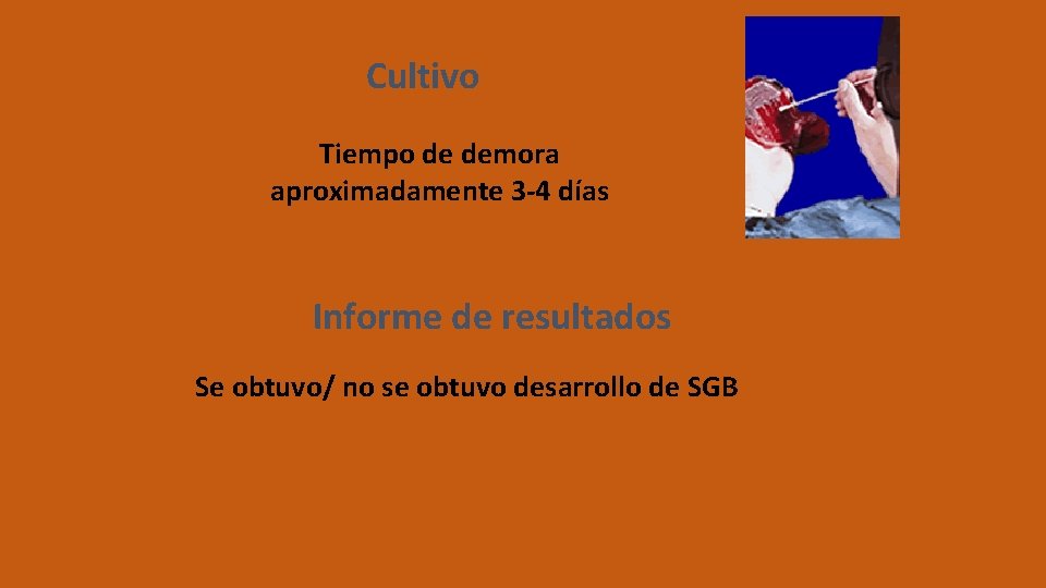 Cultivo Tiempo de demora aproximadamente 3 -4 días Informe de resultados Se obtuvo/ no