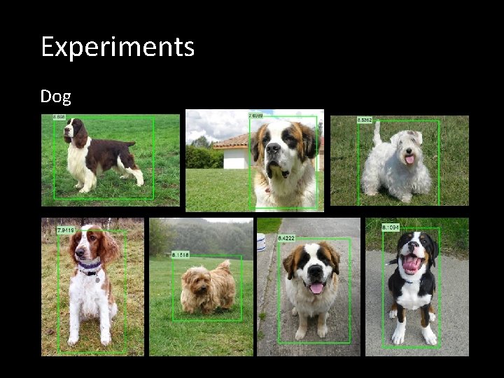 Experiments Dog 