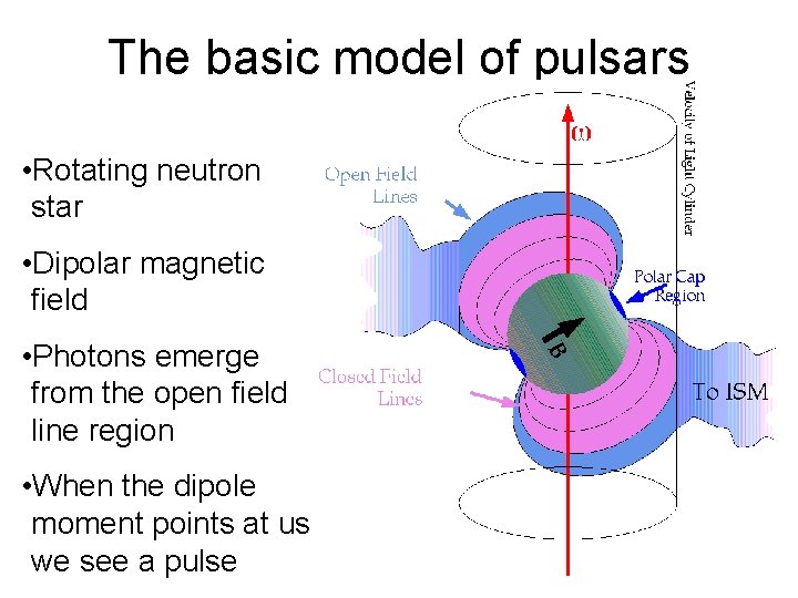 The basic model of pulsars • Rotating neutron star • Dipolar magnetic field •