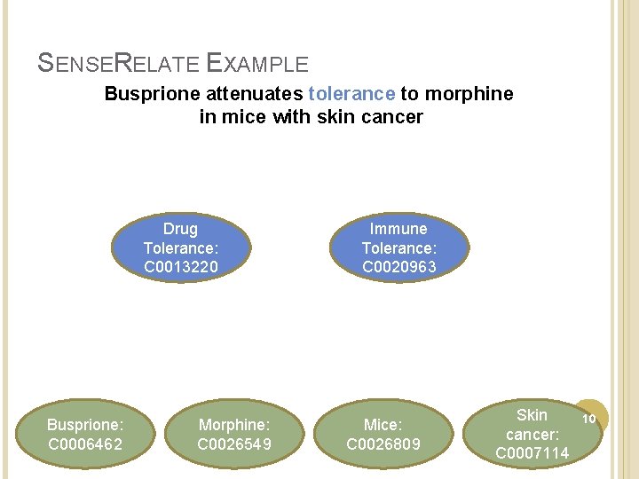 SENSERELATE EXAMPLE Busprione attenuates tolerance to morphine in mice with skin cancer Drug Tolerance: