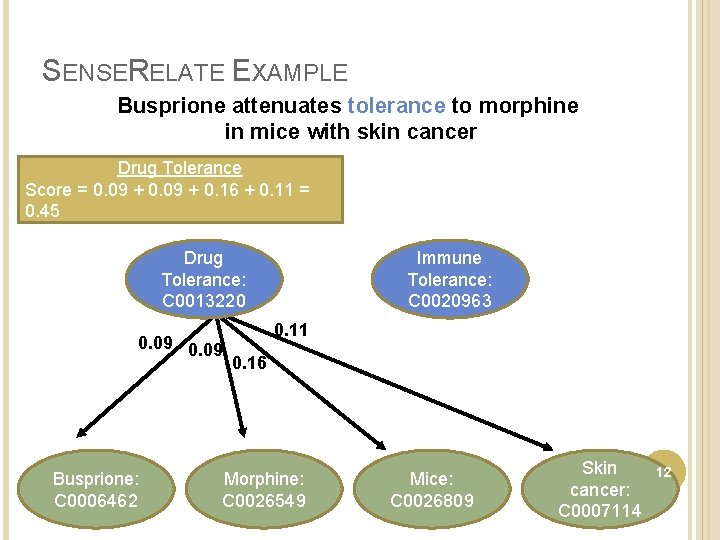 SENSERELATE EXAMPLE Busprione attenuates tolerance to morphine in mice with skin cancer Drug Tolerance