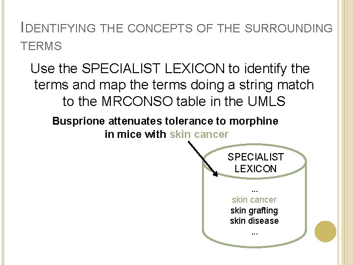 IDENTIFYING THE CONCEPTS OF THE SURROUNDING TERMS Use the SPECIALIST LEXICON to identify the