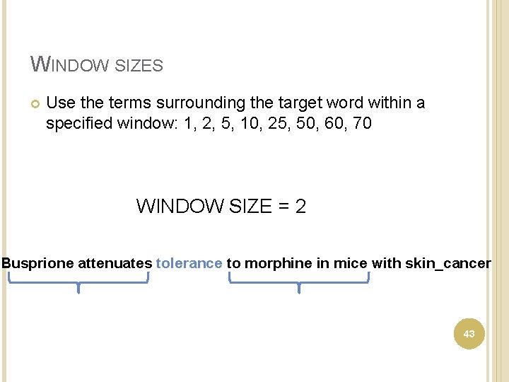 WINDOW SIZES Use the terms surrounding the target word within a specified window: 1,