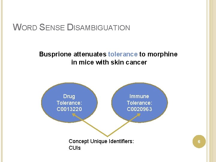 WORD SENSE DISAMBIGUATION Busprione attenuates tolerance to morphine in mice with skin cancer Drug