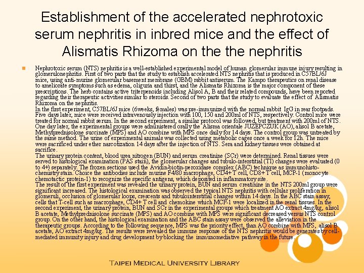 Establishment of the accelerated nephrotoxic serum nephritis in inbred mice and the effect of