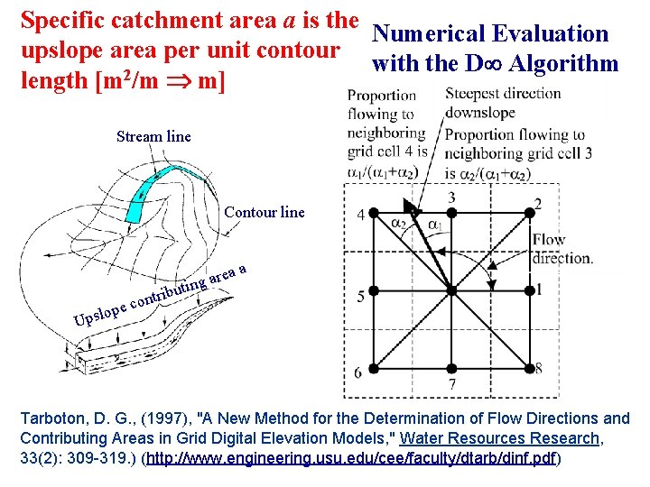 Specific catchment area a is the Numerical Evaluation upslope area per unit contour with