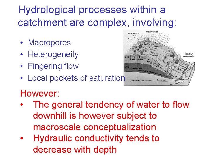 Hydrological processes within a catchment are complex, involving: • • Macropores Heterogeneity Fingering flow