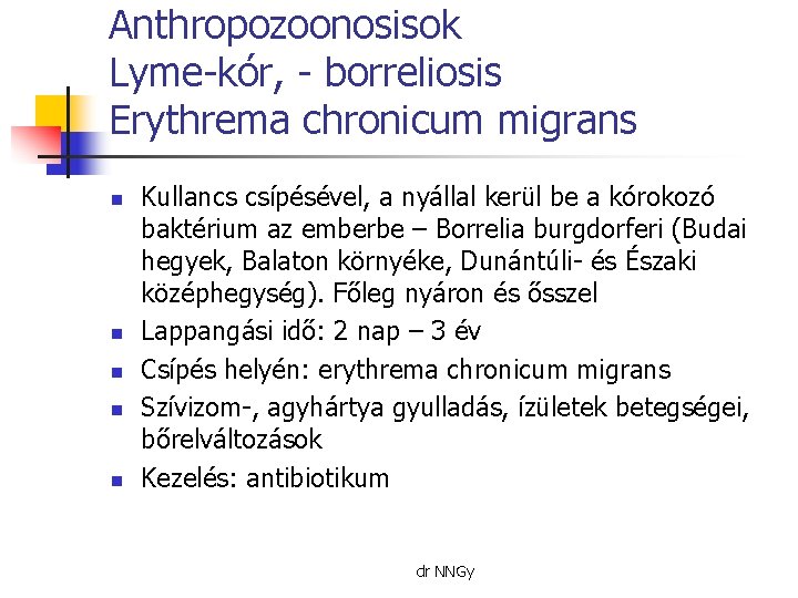Anthropozoonosisok Lyme-kór, - borreliosis Erythrema chronicum migrans n n n Kullancs csípésével, a nyállal