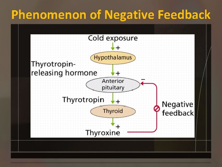 Phenomenon of Negative Feedback 