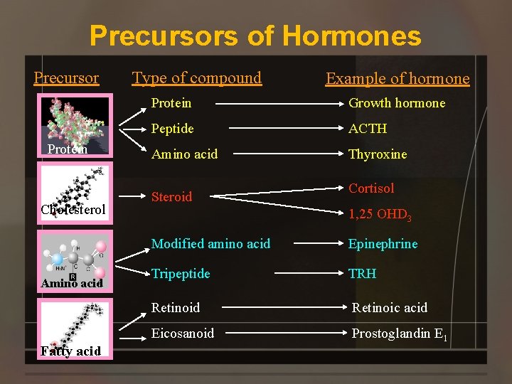 Precursors of Hormones Precursor Protein Cholesterol Amino acid Fatty acid Type of compound Example