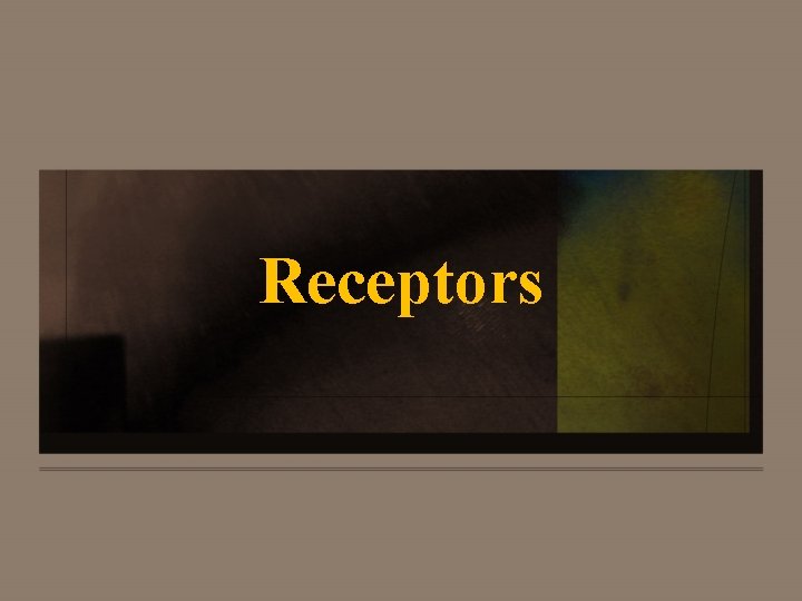 Receptors 