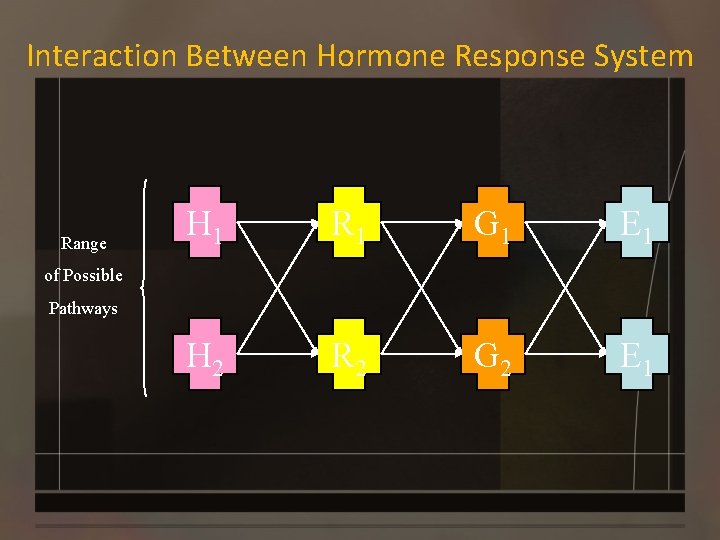Interaction Between Hormone Response System Range H 1 R 1 G 1 E 1
