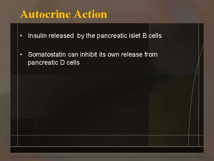 Autocrine Action • Insulin released by the pancreatic islet B cells • Somatostatin can