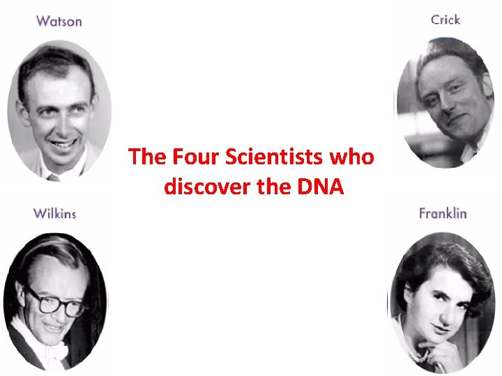 The Four Scientists who discover the DNA 