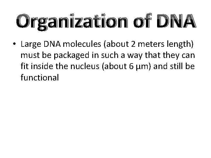 Organization of DNA • Large DNA molecules (about 2 meters length) must be packaged
