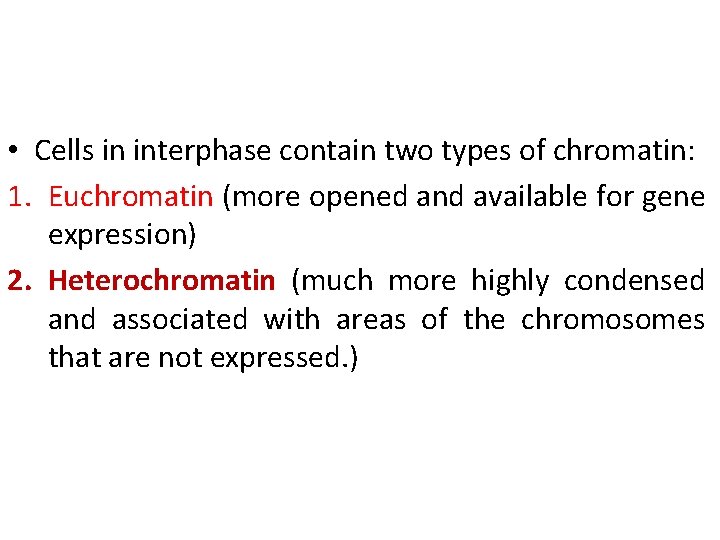  • Cells in interphase contain two types of chromatin: 1. Euchromatin (more opened