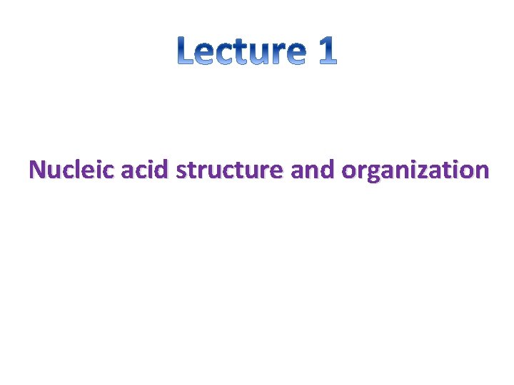 Nucleic acid structure and organization 
