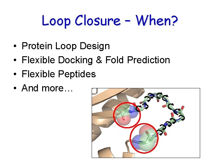 Loop Closure – When? • • Protein Loop Design Flexible Docking & Fold Prediction Loop Closure – When? • • Protein Loop Design Flexible Docking & Fold Prediction