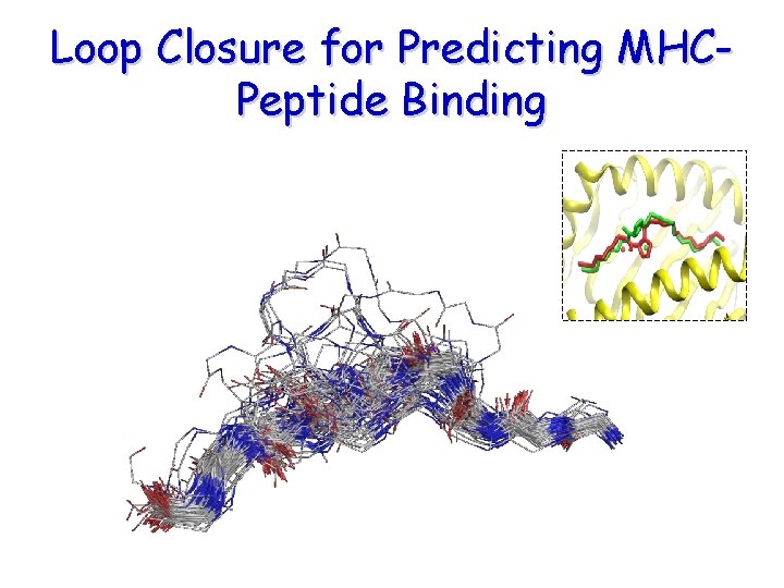 Loop Closure for Predicting MHCPeptide Binding Loop Closure for Predicting MHCPeptide Binding