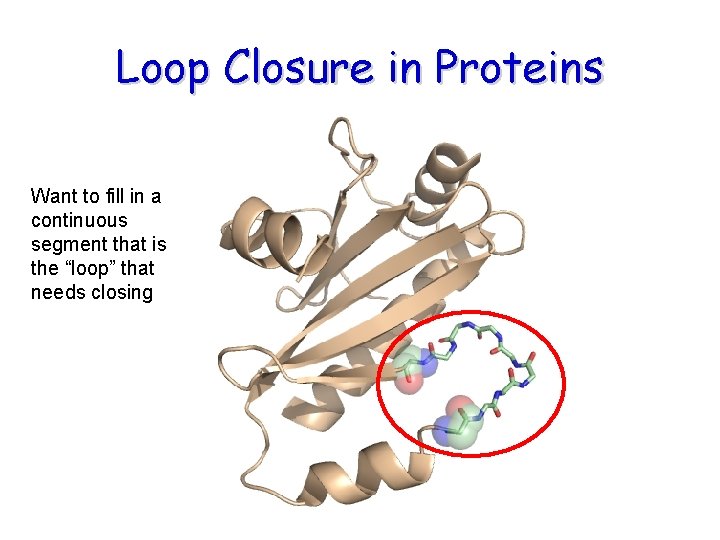 Loop Closure in Proteins Want to fill in a continuous segment that is the Loop Closure in Proteins Want to fill in a continuous segment that is the