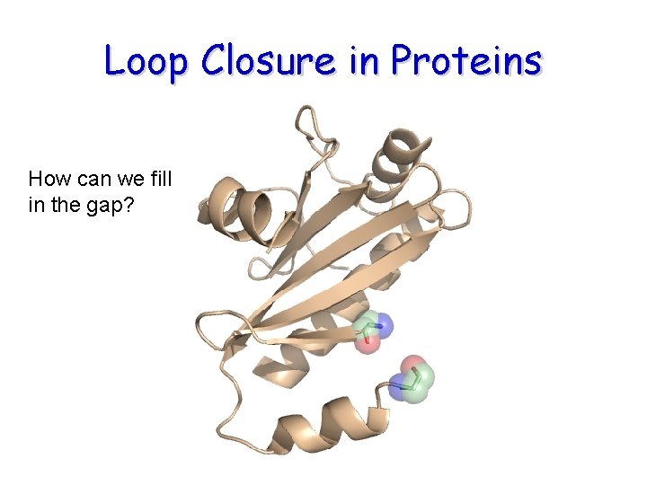 Loop Closure in Proteins How can we fill in the gap? Loop Closure in Proteins How can we fill in the gap?