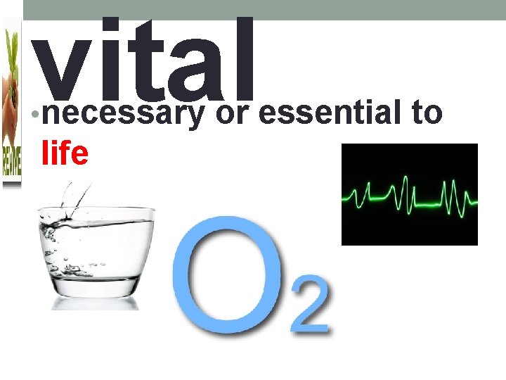 vital • necessary or essential to life 