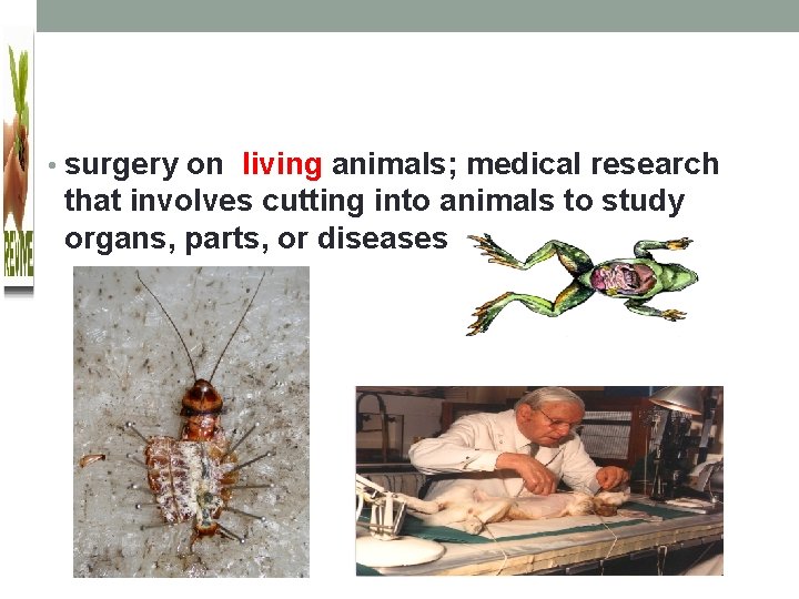  • surgery on living animals; medical research that involves cutting into animals to