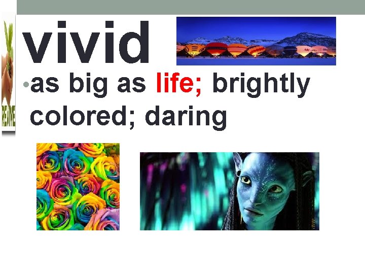 vivid • as big as life; brightly colored; daring 