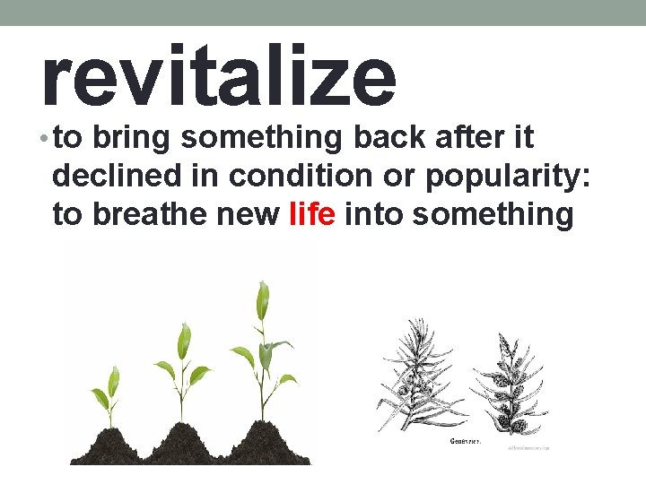 revitalize • to bring something back after it declined in condition or popularity: to