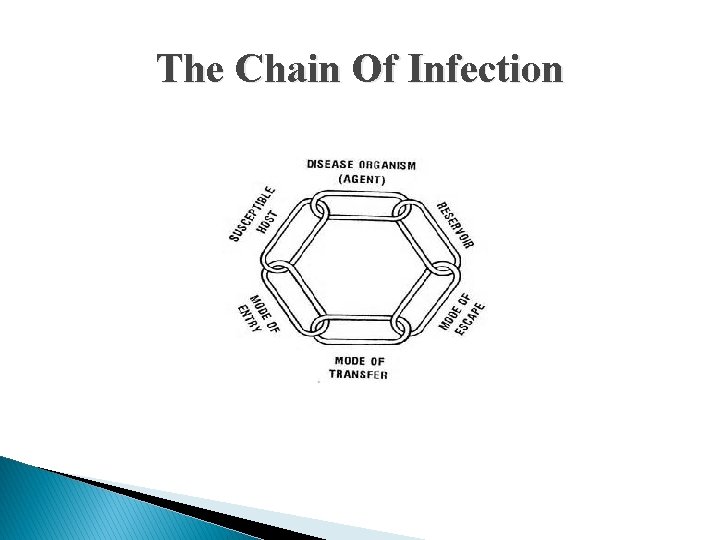 The Chain Of Infection 