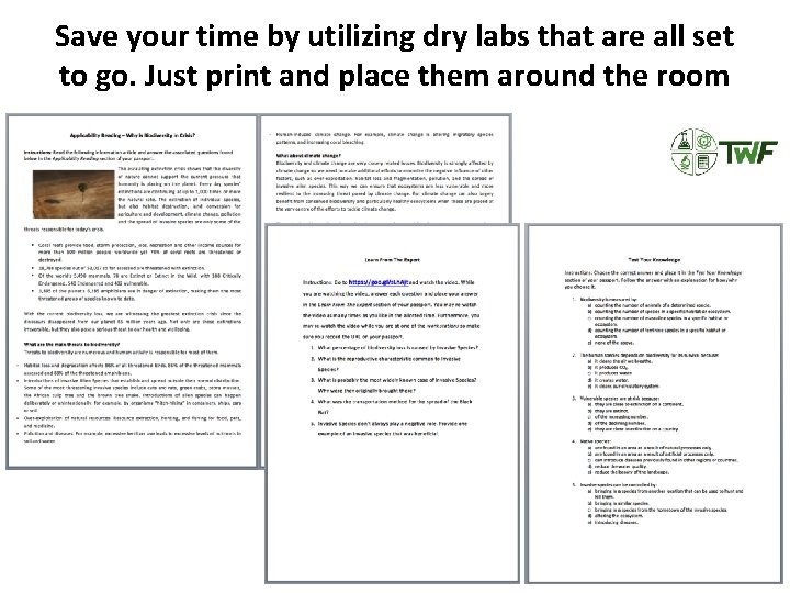 Save your time by utilizing dry labs that are all set to go. Just