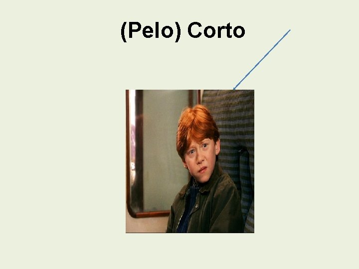 (Pelo) Corto 