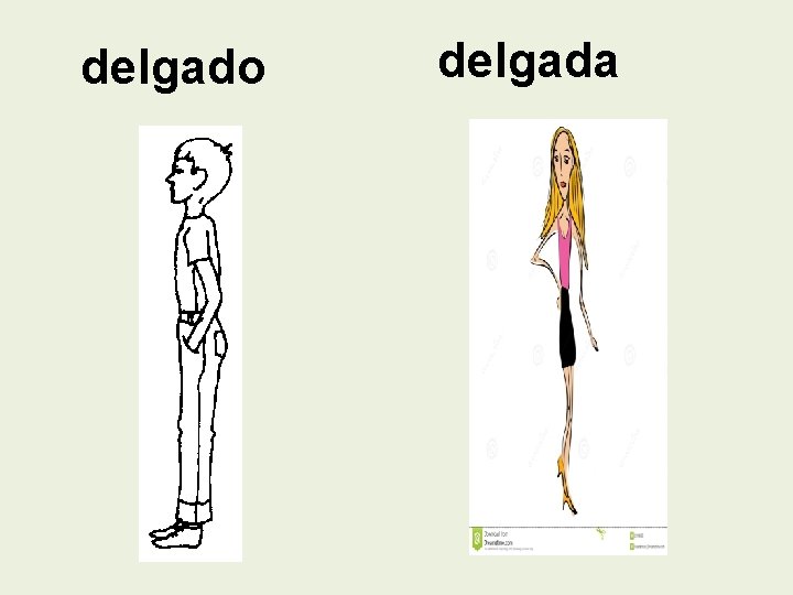 delgado delgada 