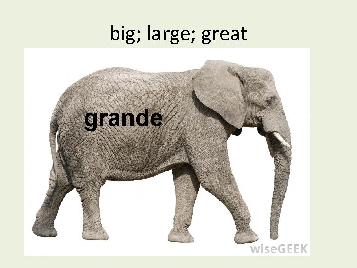 big; large; great grande 