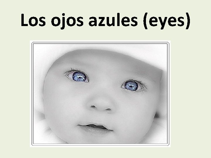 Los ojos azules (eyes) 