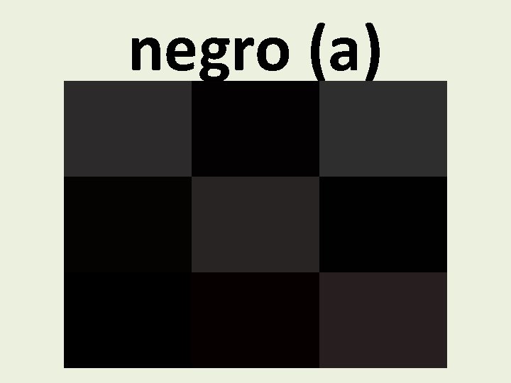 negro (a) 