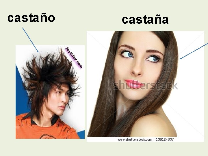 castaño castaña 