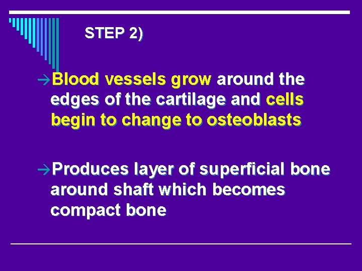 STEP 2) Blood vessels grow around the edges of the cartilage and cells begin