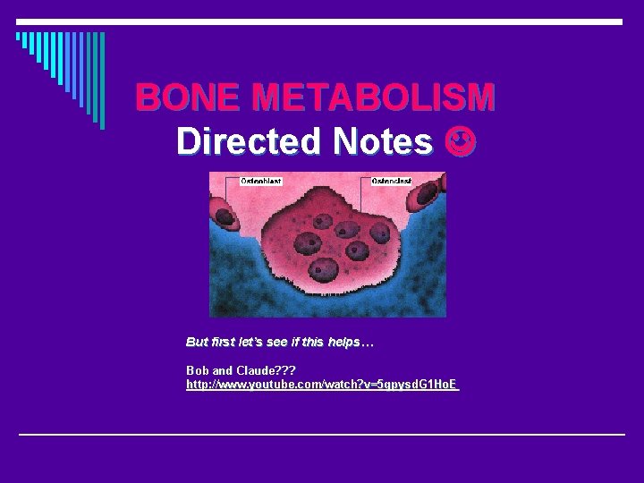 BONE METABOLISM Directed Notes But first let’s see if this helps… Bob and Claude?