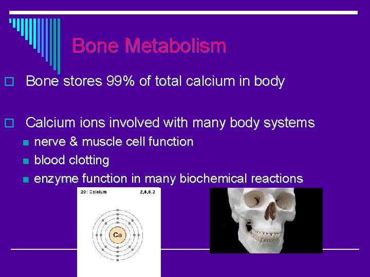 Bone Metabolism o Bone stores 99% of total calcium in body o Calcium ions