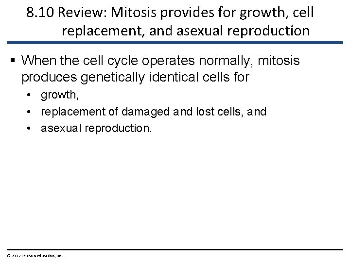 8. 10 Review: Mitosis provides for growth, cell replacement, and asexual reproduction § When