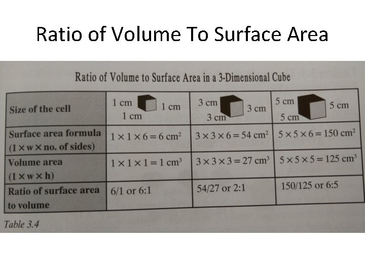 Ratio of Volume To Surface Area 