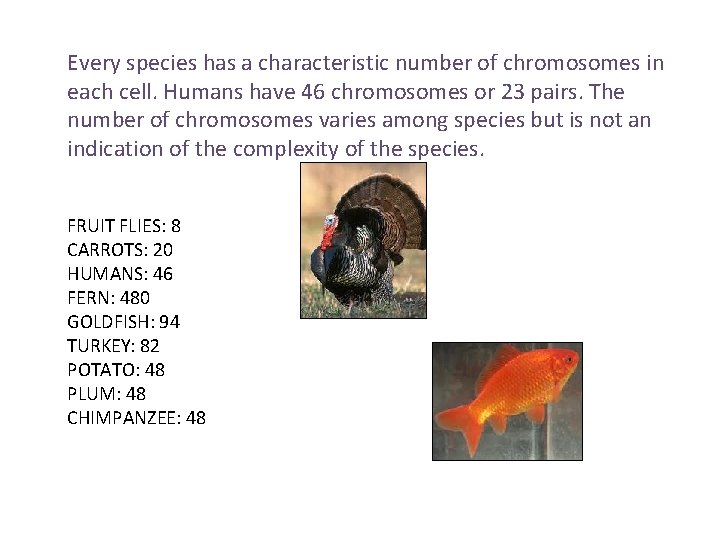 Every species has a characteristic number of chromosomes in each cell. Humans have 46