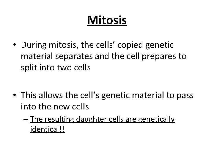 Mitosis • During mitosis, the cells’ copied genetic material separates and the cell prepares