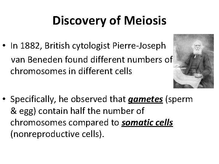 Discovery of Meiosis • In 1882, British cytologist Pierre-Joseph van Beneden found different numbers