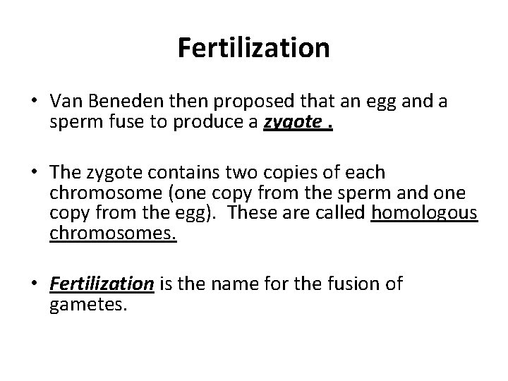 Fertilization • Van Beneden then proposed that an egg and a sperm fuse to