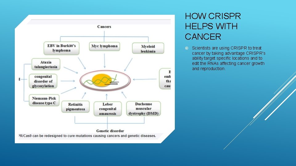 HOW CRISPR HELPS WITH CANCER Scientists are using CRISPR to treat cancer by taking