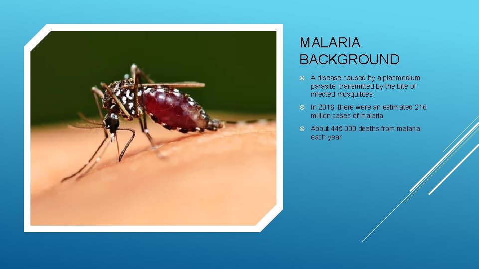 MALARIA BACKGROUND A disease caused by a plasmodium parasite, transmitted by the bite of